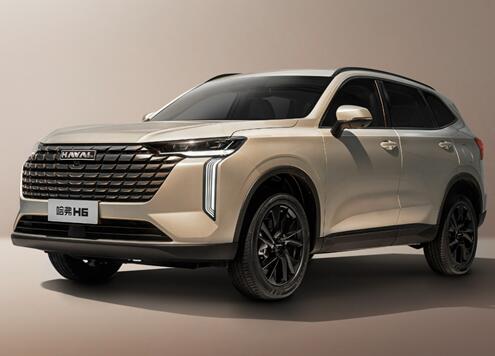 SUV¹H6619Уֶɹѡ